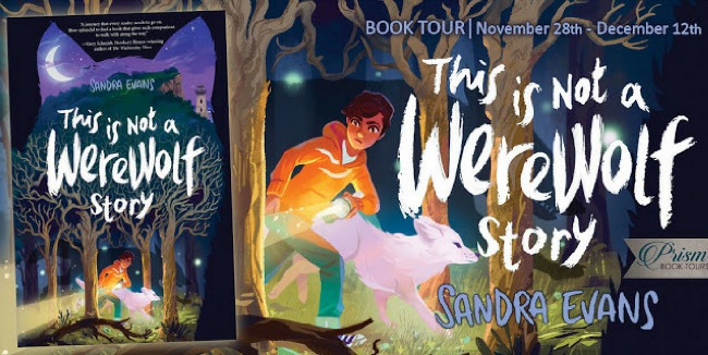 This is Not a Werewolf Story by Sandra Evans {Children Book Review}